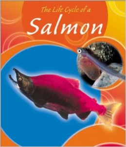 Life Cycle of a Salmon