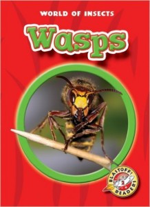Wasps by Rustad